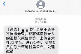 佛坪为什么选择专业追讨公司来处理您的债务纠纷？